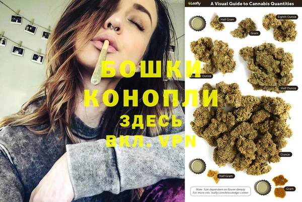 mix Богородицк