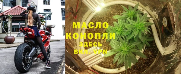 mix Богородицк