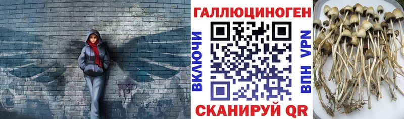 Псилоцибиновые грибы ЛСД кракен ссылки Приволжский